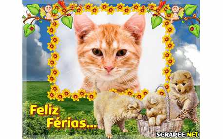 Moldura - Feliz Ferias