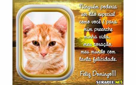 Moldura - Preenche Minha Vida