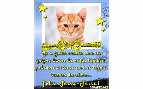 Moldura - Crescendo Com Os Golpes