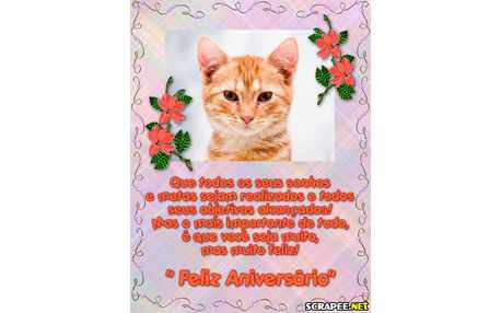 Moldura - Feliz Aniversario