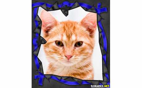 Moldura - Fitinha Azul