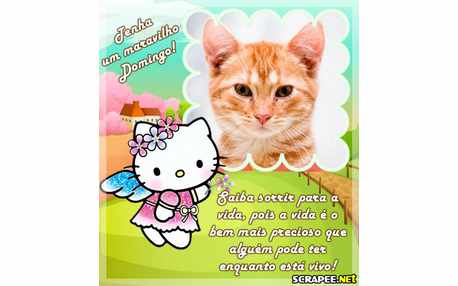 Moldura - Domingo Da Hello Kitty