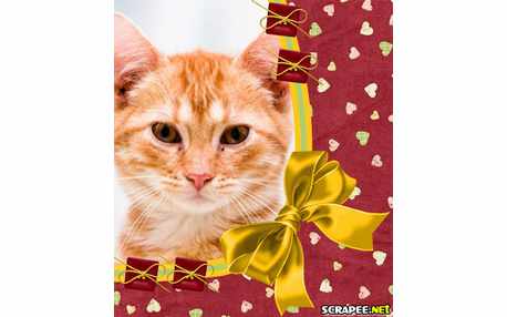 Moldura - Moldura Gratis