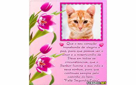 Moldura - Mensagem Para Segunda Feira