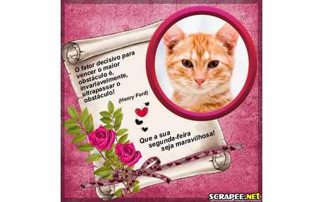 Moldura - Segunda Feira Maravilhosa