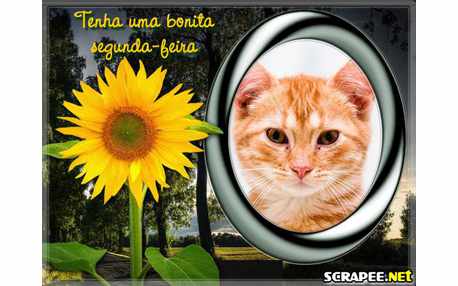 Moldura - Bonita Segunda