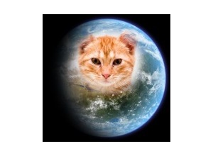 Moldura - Transformed Mars