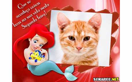 Moldura - Segunda Feira Com Ariel