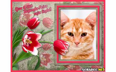 Moldura - Tulipas Para Segunda Feira