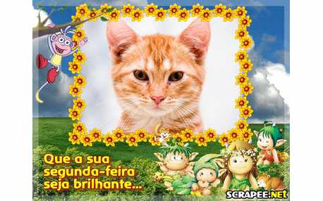 Moldura - Segunda Brilhante