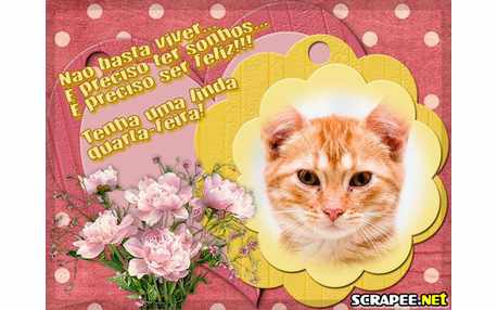 Moldura - Viva Nesta Quarta Feira