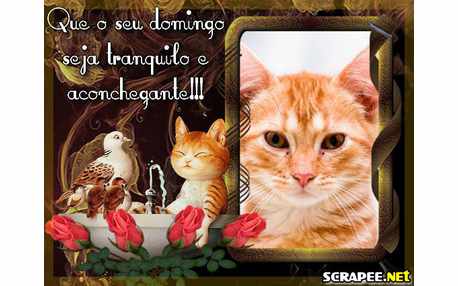 Moldura - Domingo Animado