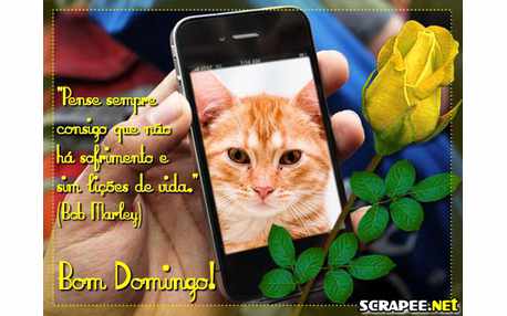 Moldura - Domingo Sem Sofrimento