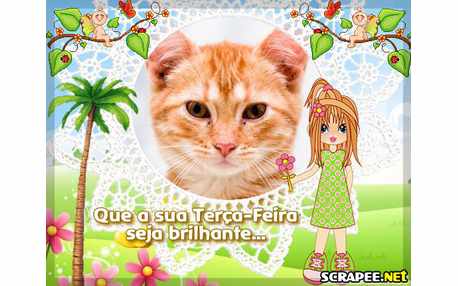 Moldura - Terca Feira Brilhande