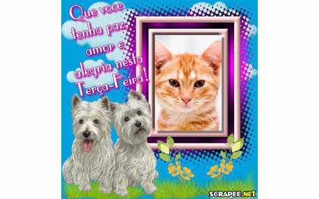 Moldura - Animado Pra Cachorro