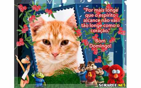 Moldura - Domingo Com Alvin