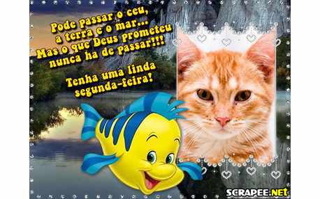 Moldura - Peixe Amarelo