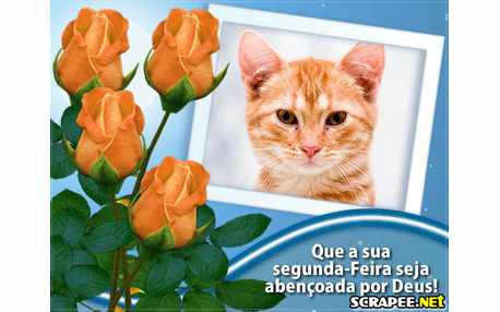 Moldura - Segundo Dia Da Semana