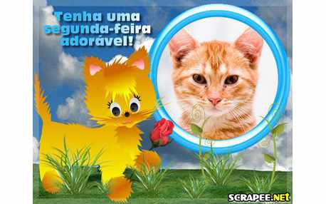 Moldura - Gatinha Docil