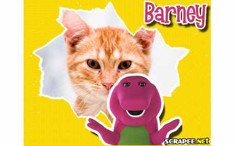 Moldura - Moldura Do Barney