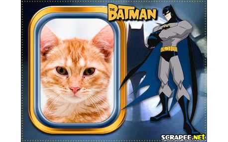 Moldura - Batman