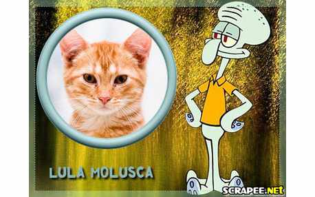 Moldura - Lula Molusca