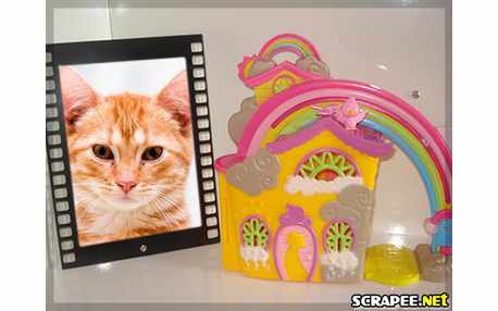 Moldura - Castelo Do Mini Poney