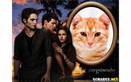 Moldura -  Crepusculo