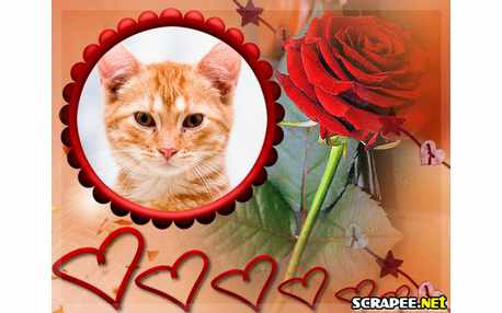 Moldura - Flor Opaca