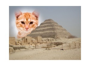 Moldura - The Saqqara Pyramids Egypt