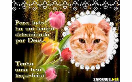 Moldura - Moldura De Terca Feira