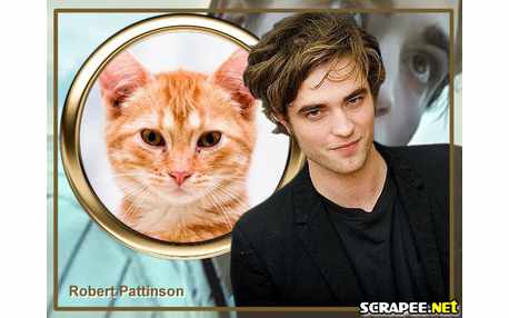 Moldura - Ator Robert Pattinson