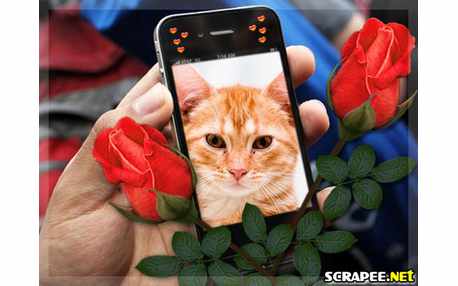 Moldura - Smartphone