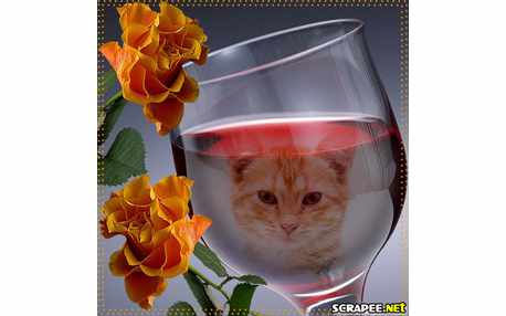 Moldura - Taca Da Sorte