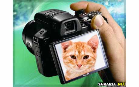 Moldura - Filmadora 2011