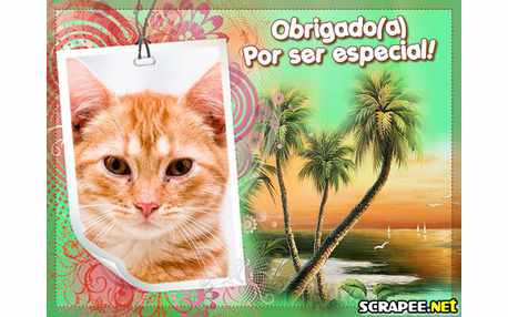 Moldura - Um Ser Especial