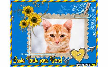 Moldura - Montagem De Boa Tarde