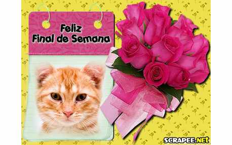 Moldura - Rosas Cor De Rosa