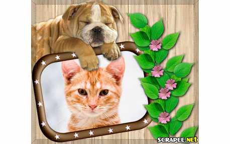 Moldura - Cao Shar Pei