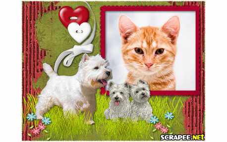 Moldura - Cao Lhasa Apso