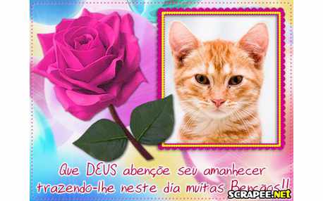 Moldura - Frase Do Amanhecer