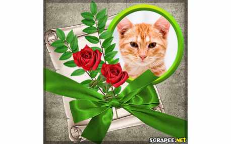 Moldura - Arranjo Com Folhas