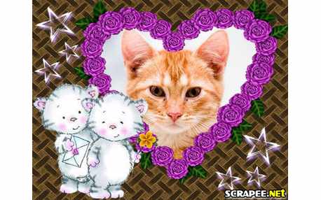 Moldura - Cat Little