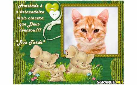 Moldura - Famila De Elefante