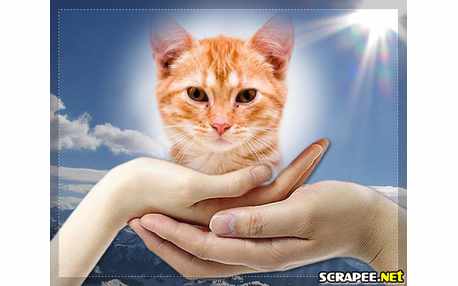 Moldura - Resplendor