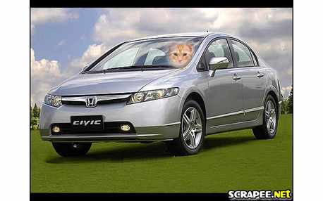 Moldura - Honda Civic