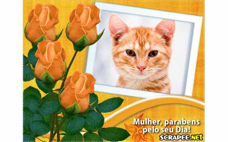 Moldura - Parabens Mulher