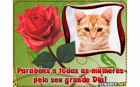 Moldura - Dia Da Mulher