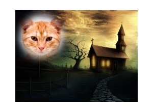 Moldura - The Church