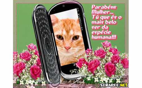 Moldura - Feliz Dia Da Mulher